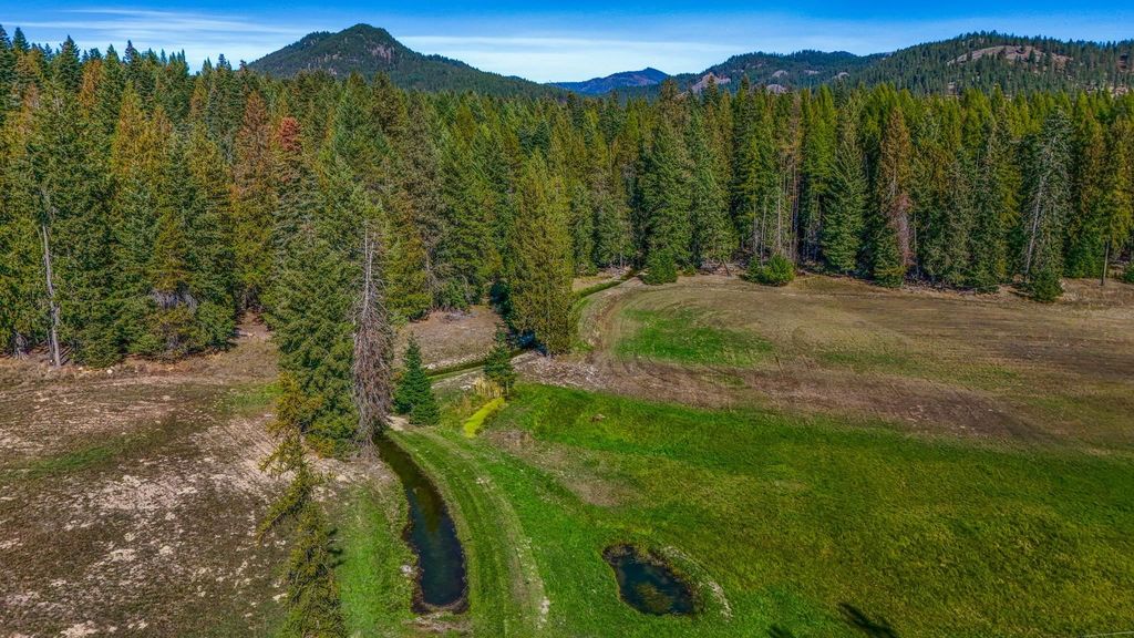 351 Skookum Creek Rd, Usk, WA 99180 photo 18