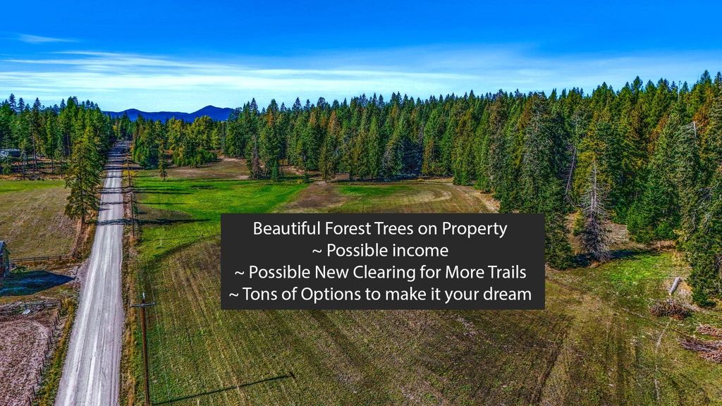 351 Skookum Creek Rd, Usk, WA 99180 photo 7