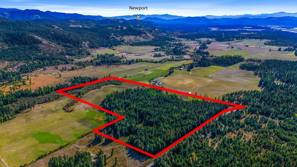 351 Skookum Creek Rd, Usk, WA 99180 photo 9