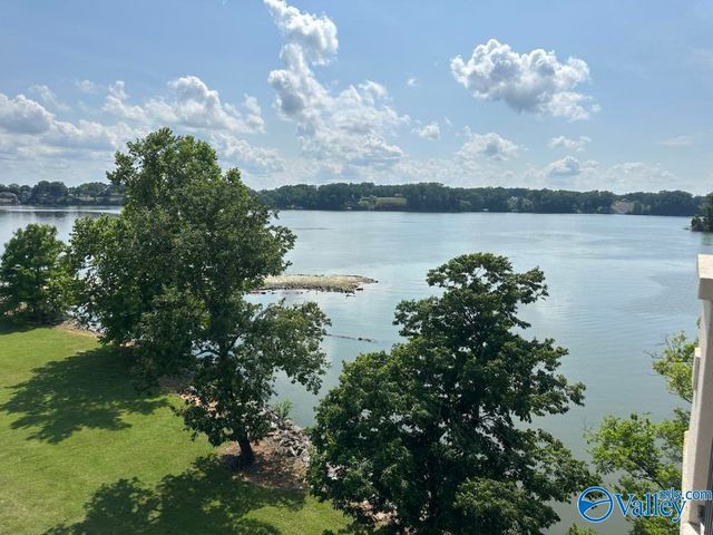 12100 Two Rivers Drive C4, Athens, AL 35611