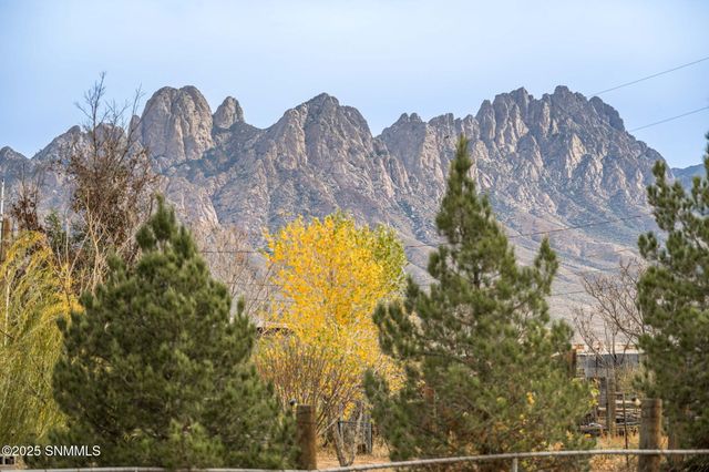 9104 Horace Lane, Las Cruces, NM 88011