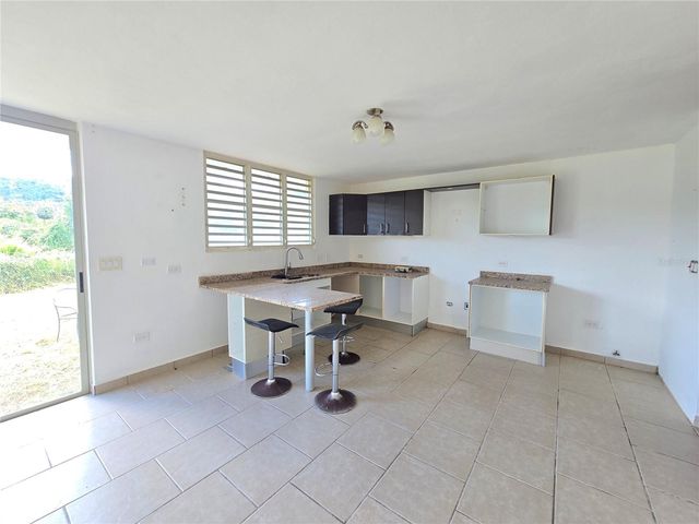 55 URB. TERRA DEL MONTE, Cayey, PR 00736