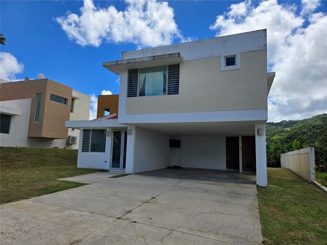 55 URB. TERRA DEL MONTE, Cayey, PR 00736