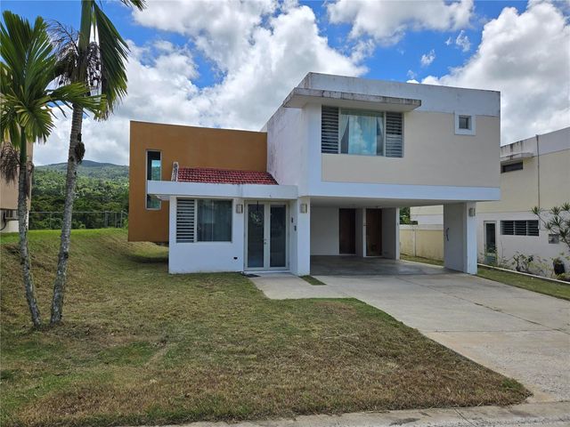 55 URB. TERRA DEL MONTE, Cayey, PR 00736