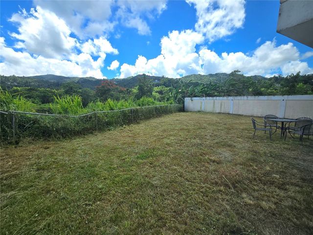 55 URB. TERRA DEL MONTE, Cayey, PR 00736