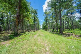 0 County Road 86, Bay Minette, AL 36507