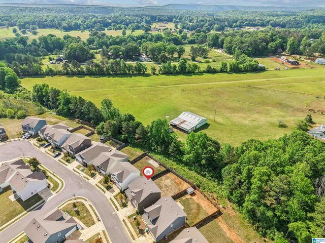 22725 JOSELYN GREEN DRIVE, Mccalla, AL 35111
