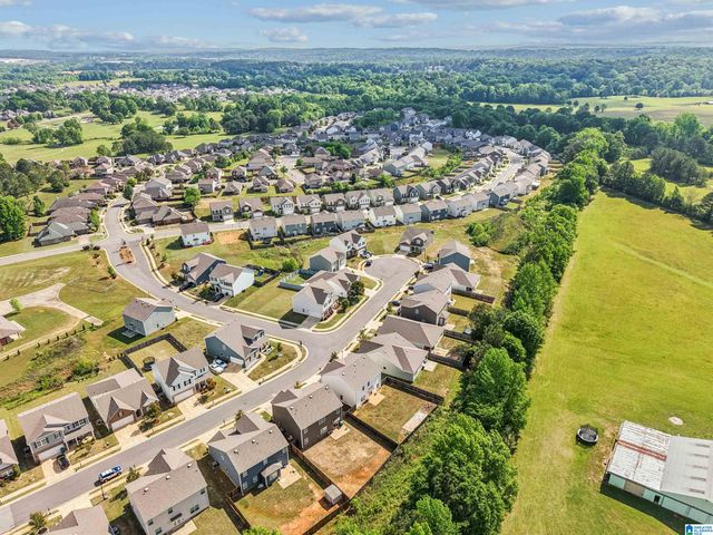 22725 JOSELYN GREEN DRIVE, Mccalla, AL 35111