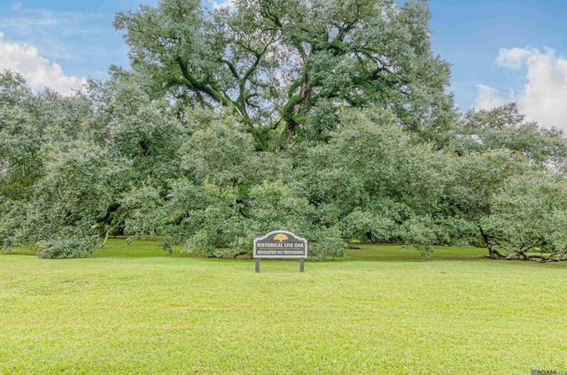 38128 Jefferson Crossing Ave, Prairieville, LA 70769