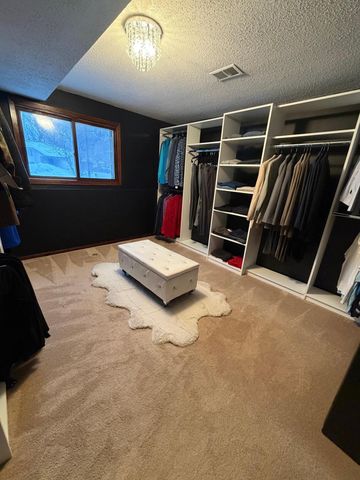 8925 Bass Creek Court, Brooklyn Park, MN 55428