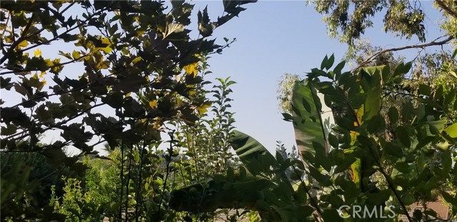 2638 Mangrove Way, Riverside, CA 92506