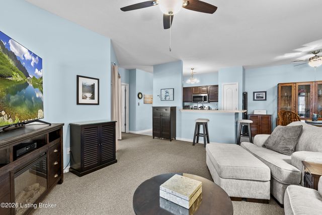 9502 Magnolia Ridge Dr 101, Louisville, KY 40291