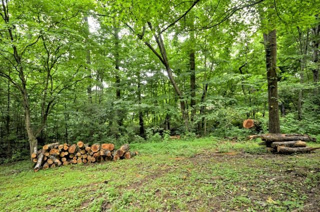 3484 BROOKFIELD DR, Clarksville, TN 37043