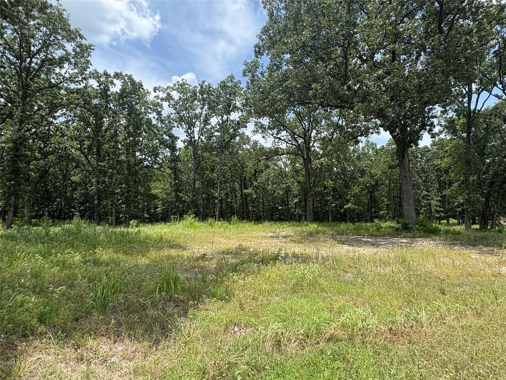 TBD PVT 5948 22, Yantis, TX 75497