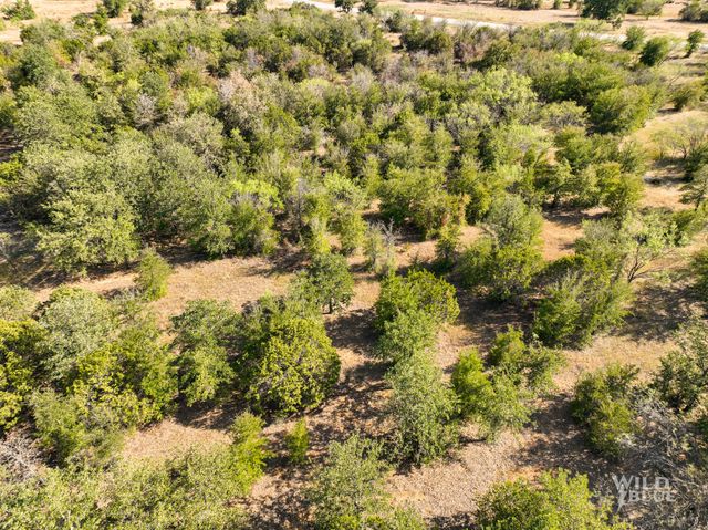 TBD Lot 25 New Hope Road, Santo, TX 76484