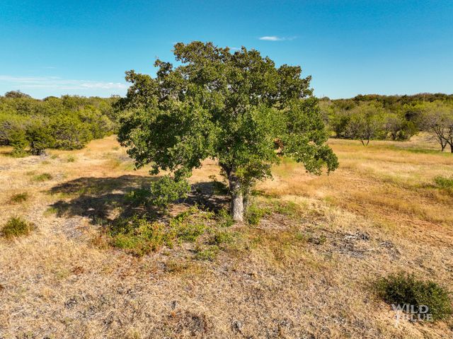 TBD Lot 25 New Hope Road, Santo, TX 76484