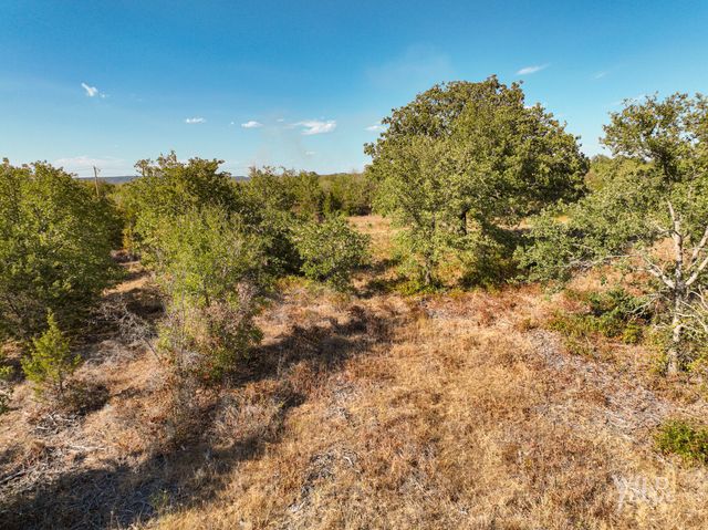 TBD Lot 25 New Hope Road, Santo, TX 76484