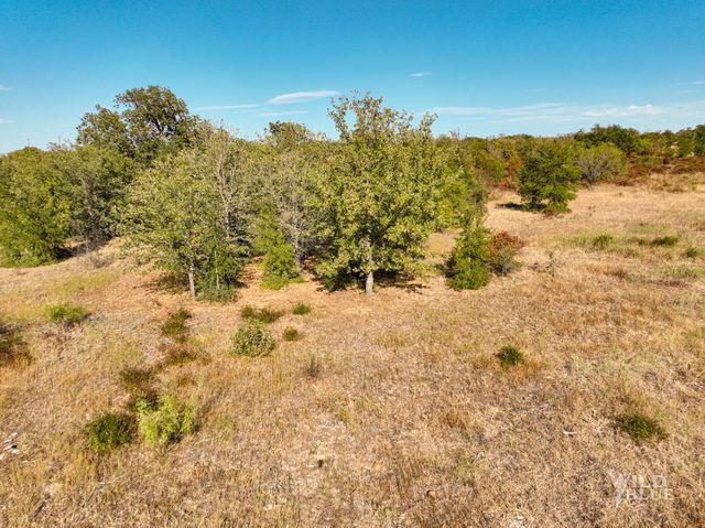 TBD Lot 25 New Hope Road, Santo, TX 76484