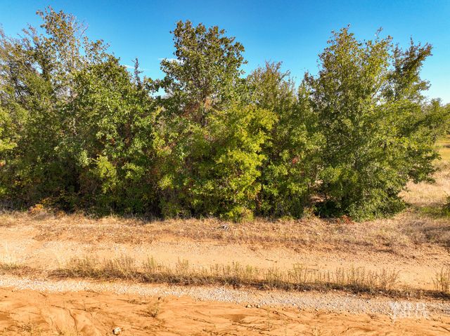 TBD Lot 25 New Hope Road, Santo, TX 76484