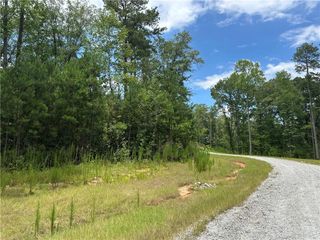 0 Hamilton Road, Chattahoochee Hills, GA 30268