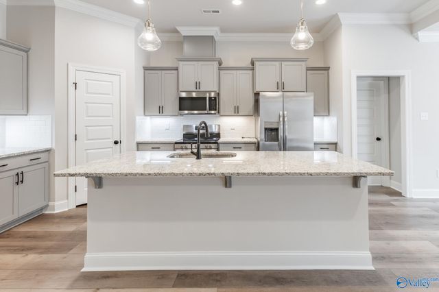 15567 NW Mizewell Lane, Harvest, AL 35749