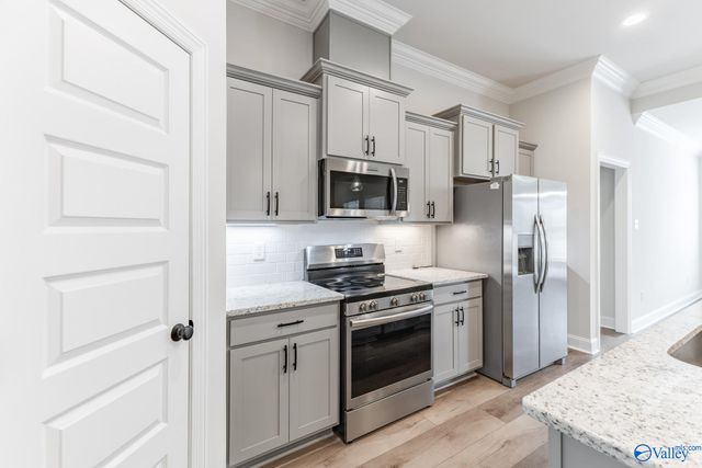 15567 NW Mizewell Lane, Harvest, AL 35749