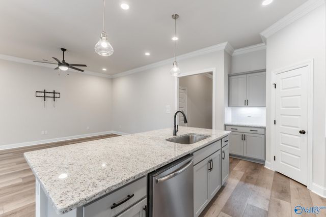 15567 NW Mizewell Lane, Harvest, AL 35749