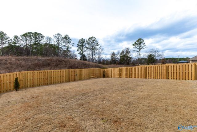 15567 NW Mizewell Lane, Harvest, AL 35749