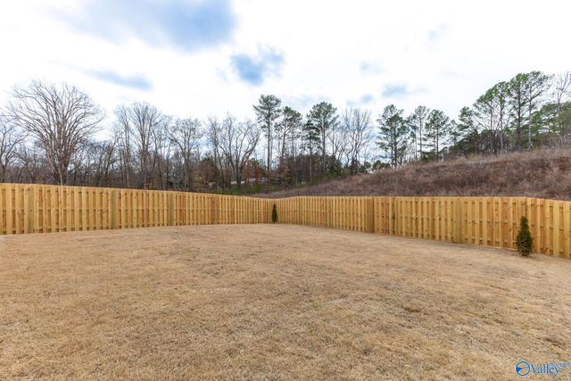 15567 NW Mizewell Lane, Harvest, AL 35749