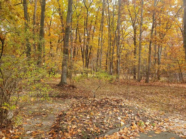 7323 Karlin Road, Grant Twp, MI 49643