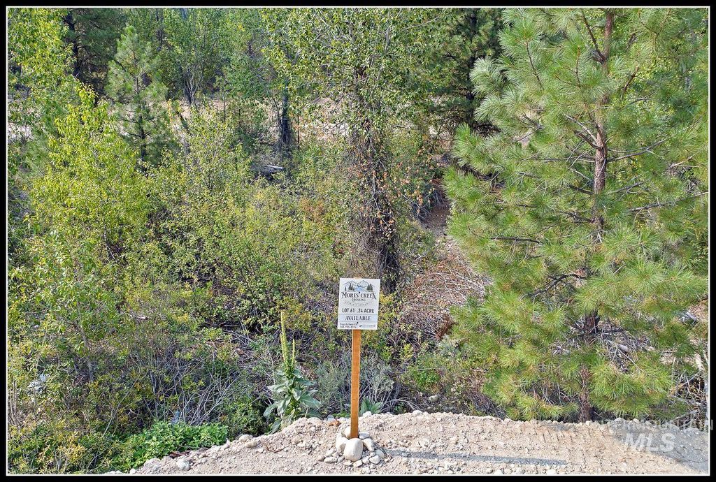 Lot 61 Lily Loop, Idaho City, ID 83631