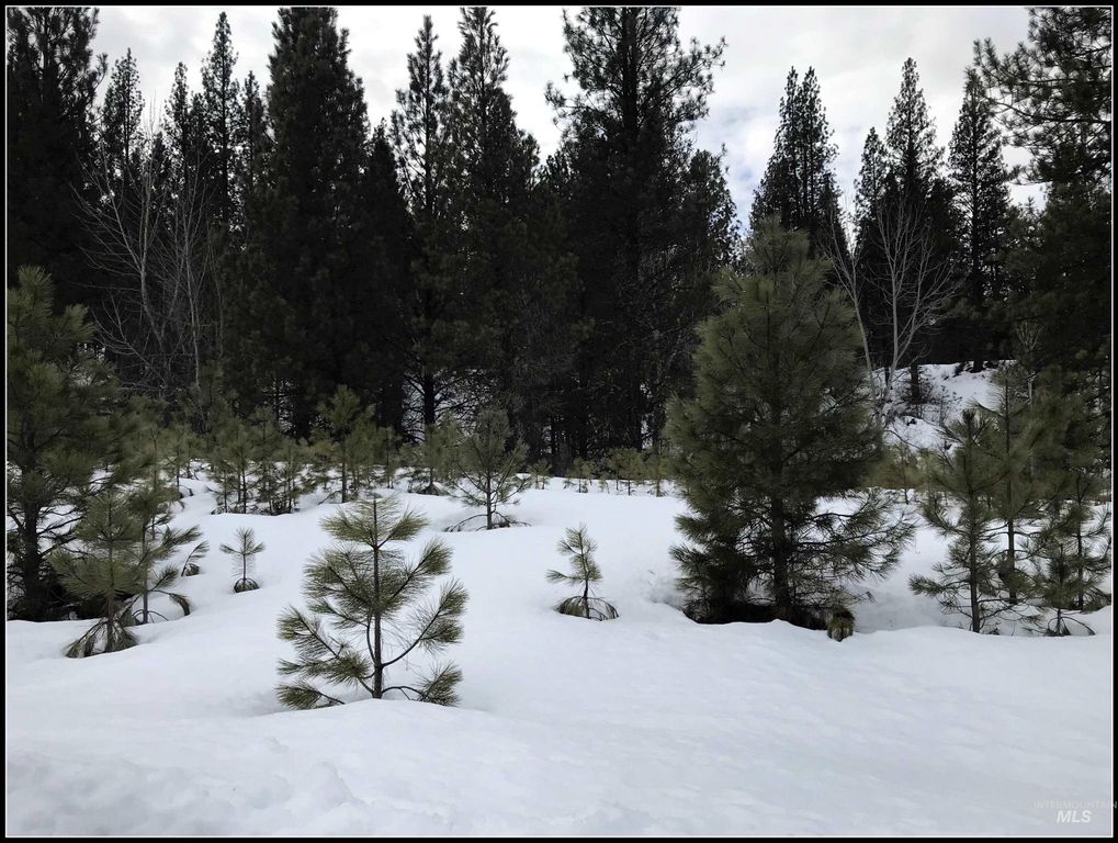 Lot 61 Lily Loop, Idaho City, ID 83631 photo 11