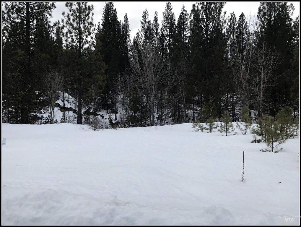 Lot 61 Lily Loop, Idaho City, ID 83631 photo 13