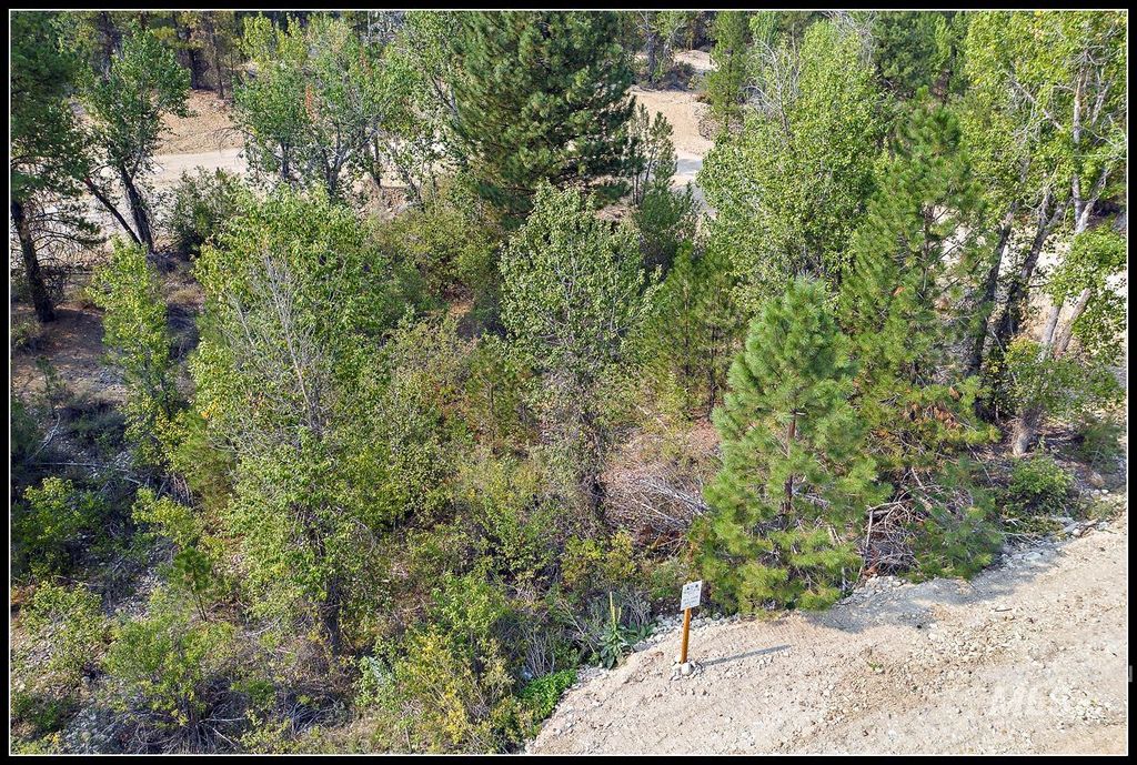 Lot 61 Lily Loop, Idaho City, ID 83631 photo 2