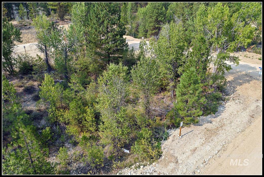 Lot 61 Lily Loop, Idaho City, ID 83631 photo 4