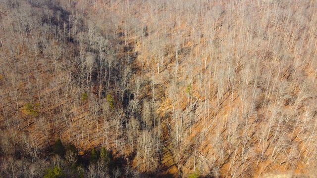 981 Meat Scaffold Road, Jackson, KY 41339