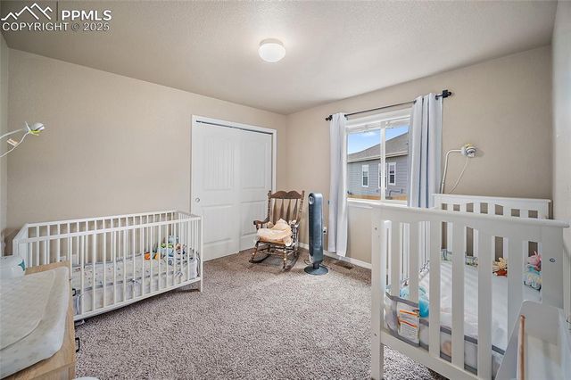 10648 Desert Bloom Way, Colorado Springs, CO 80925