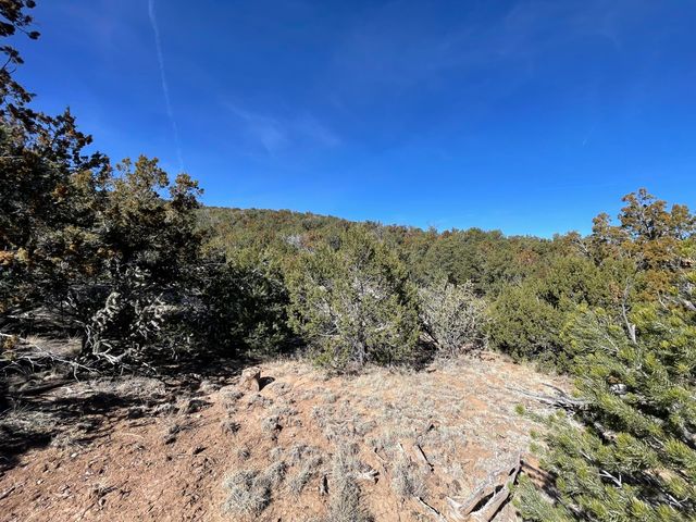 43 Canon Escondido Place, Sandia Park, NM 87047