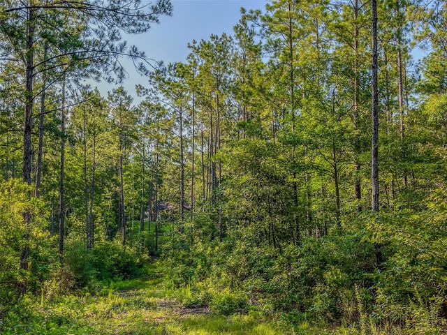 TBD Cr 1450, Warren, TX 77664