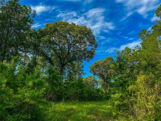 TBD Cr 1450, Warren, TX 77664