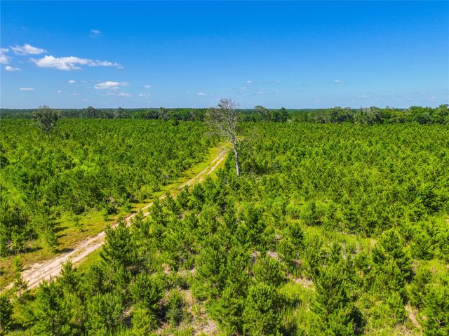TBD Cr 1450, Warren, TX 77664