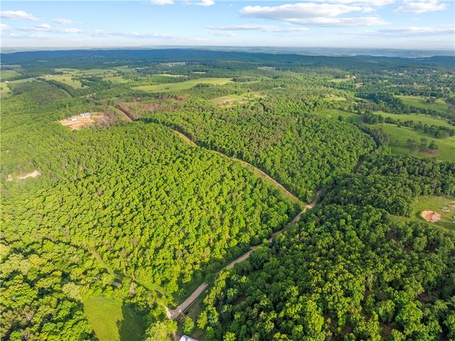 229 Ruby Lane, Yellville, AR 72687