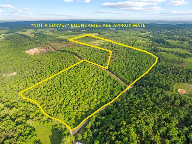 229 Ruby Lane, Yellville, AR 72687