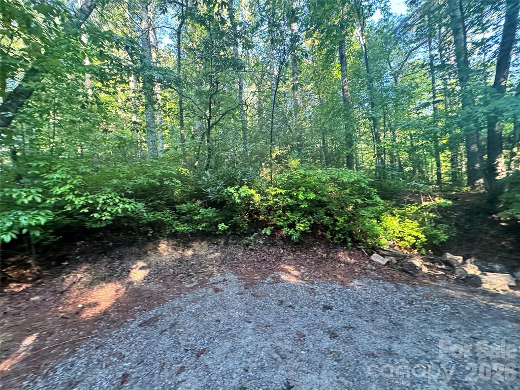 000 Sugar Creek Drive, Cedar Mountain, NC 28718