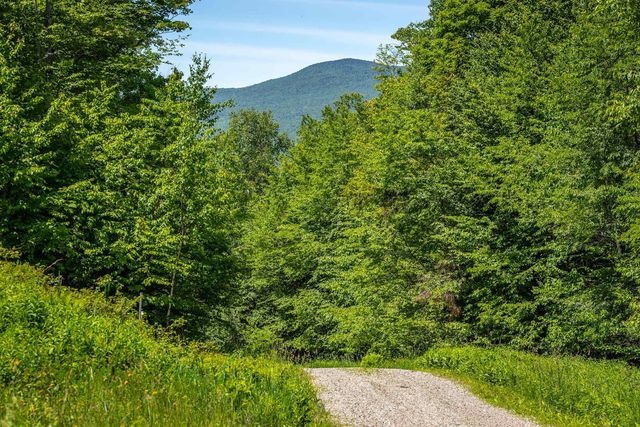 691 Black Bear Road, Jamaica, VT 05343