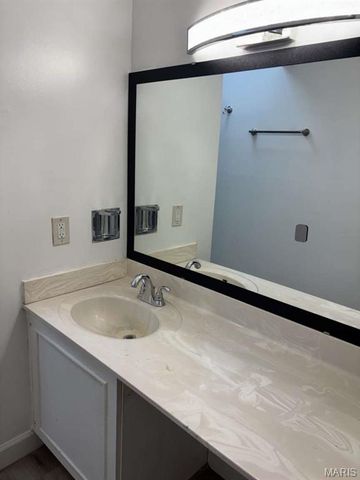 10395 Forest Brook Lane E, Creve Coeur, MO 63146