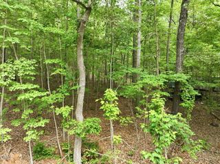 1841 Dots Drive, Hillsborough, NC 27278