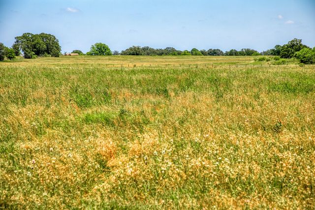 3335 County Road 323, Lexington, TX 78947