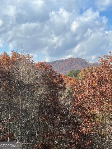0 Lakota Lane, Mineral Bluff, GA 30559