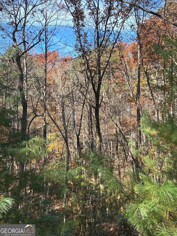 0 Lakota Lane, Mineral Bluff, GA 30559